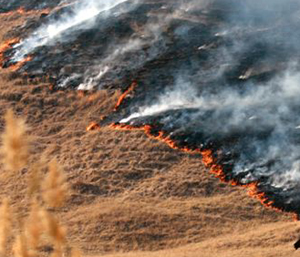 Incendii pe sute de hectare de teren