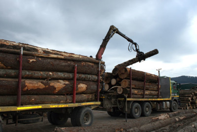 Controale pentru depistarea transporturilor ilegale de material lemnos