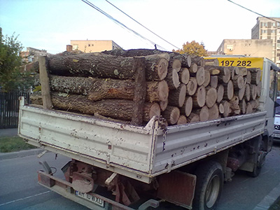 Transport-lemne-