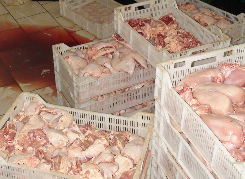 DSVSA Maramureş a găsit carne depozitată în spaţii neautorizate