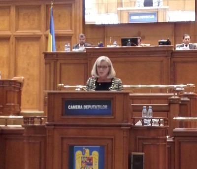 Cornelia Negruț: Actualul Guvern trebuie să aducă plus valoare pentru economie