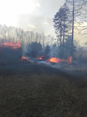 Incendii la Valea Chioarului, Borşa şi Copalnic