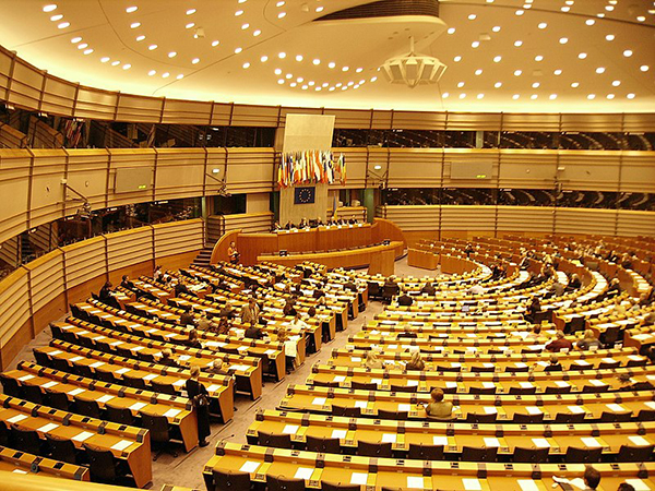 Alegeri europarlamentare: Maramureșeni în listele de candidați