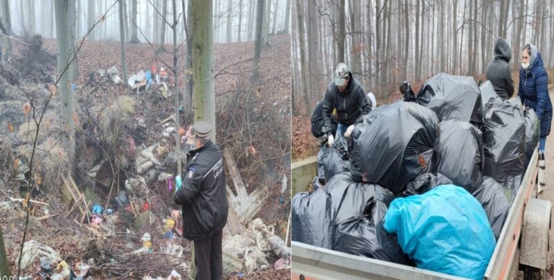 Hovrileni sancționați pentru deșeuri aruncate în pădure